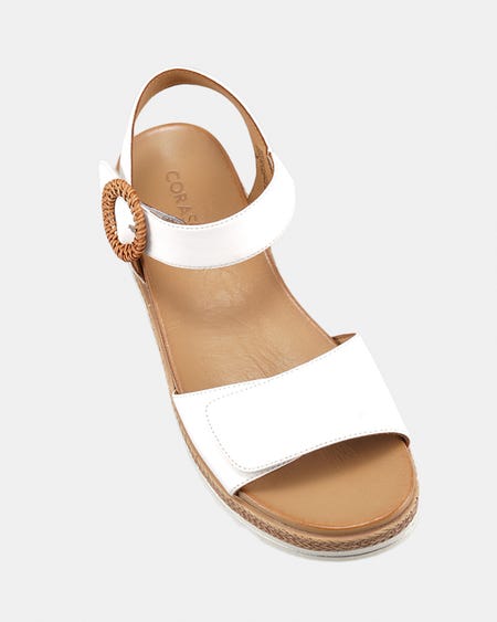 Shell secondary image